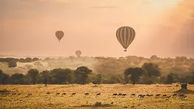 Montgolfières au lever du soleil au-dessus du Serengeti en Tanzanie avec la migration visible dans les plaines.