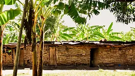 Balade à vélo à Mto Wa Mbu en Tanzanie entre vie locale, pistes rurales et plantations de bananiers.