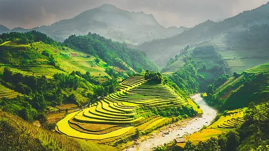 Rizières en terrasses dans les montagnes du Nord Vietnam