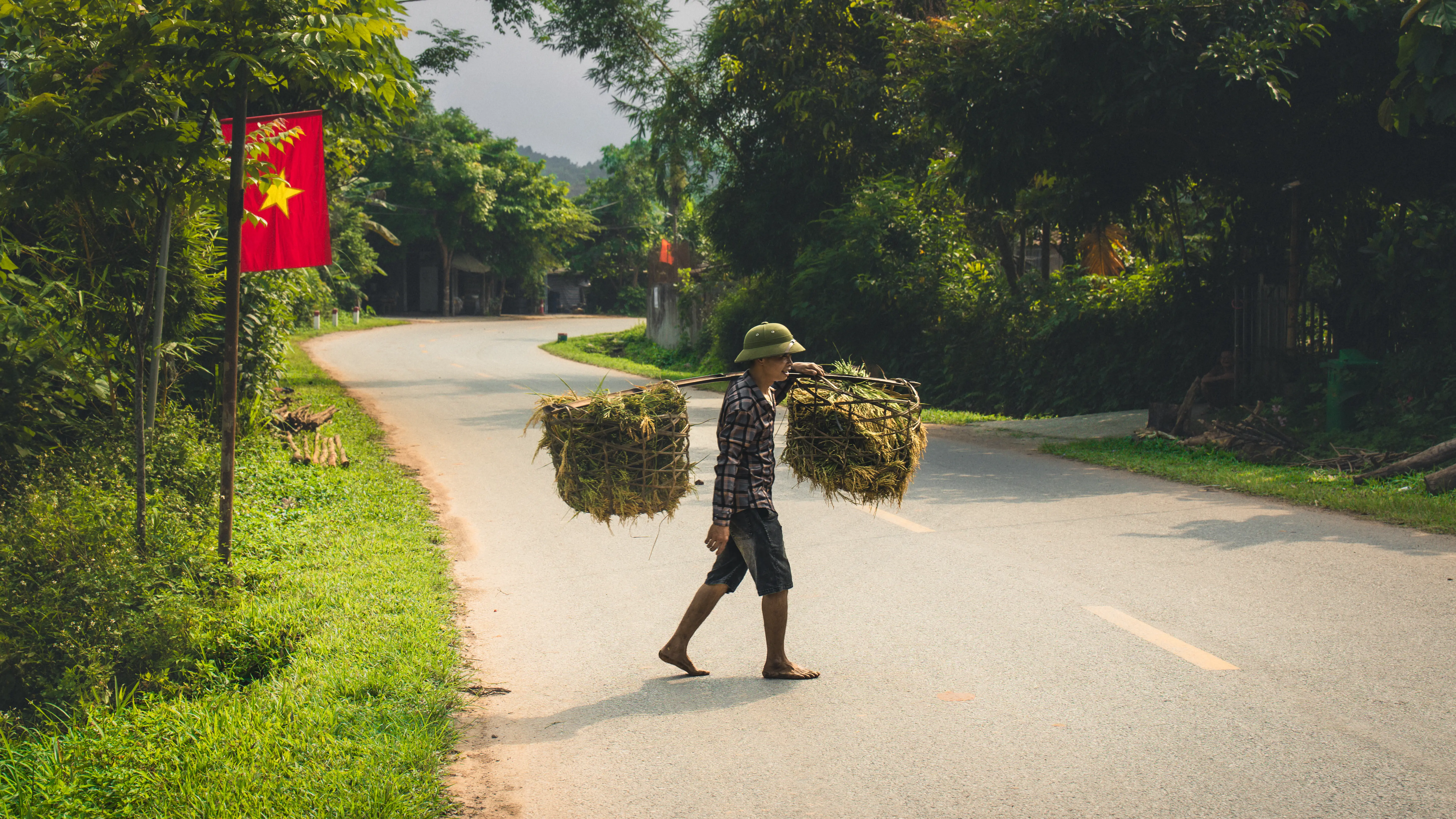 Villageois portant une récolte dans le Nord du Vietnam