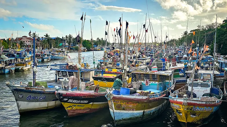 Bateaux de pêche dans le port de Negombo au Sri Lanka