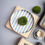 Miniature : Assiette Stripes - Magazin Minori