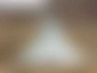 Climate Change in the Himalayas