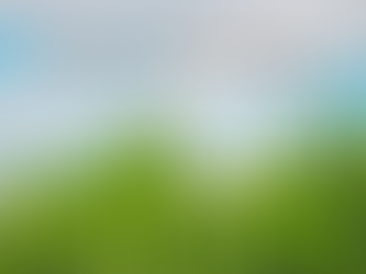 Interview with a Small-Scale Sustainable Farm