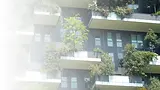vertical-forest-hero-v2.webp