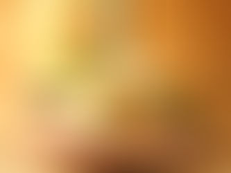 暑気払いの会 明石旬菜しんで和食 日本酒を愉しむ会