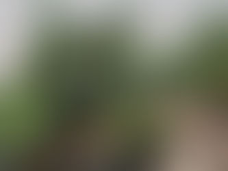 春、あたらしいこと