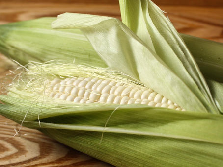 朝採れの瑞々しさを 畑から食卓へ