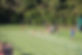 216620cf-7544-403d-95ac-61f86bc3ef4e_wo.jpg