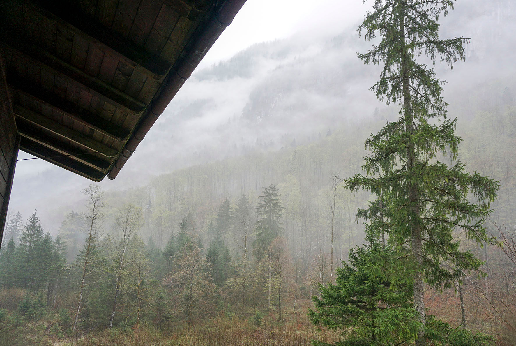 A DAY IN PARADISE #19 / Bluntautal - AT / 2016