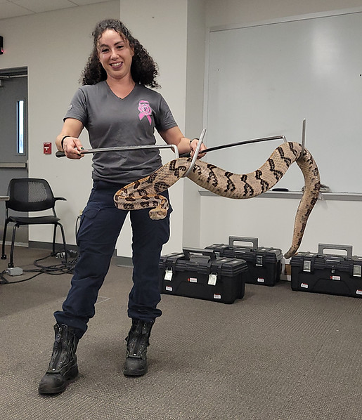 mdfr handling.jpg
