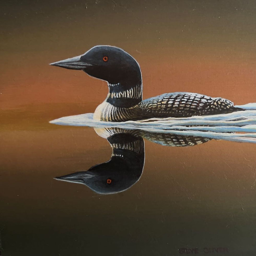 2023 - Loon on a Quiet Lake - 1000