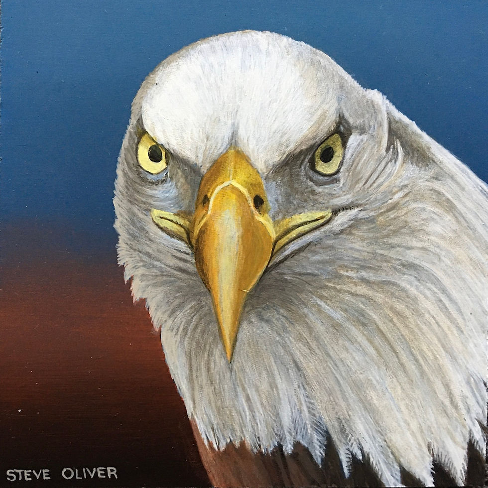 2020 Mini - Bald Eagle
