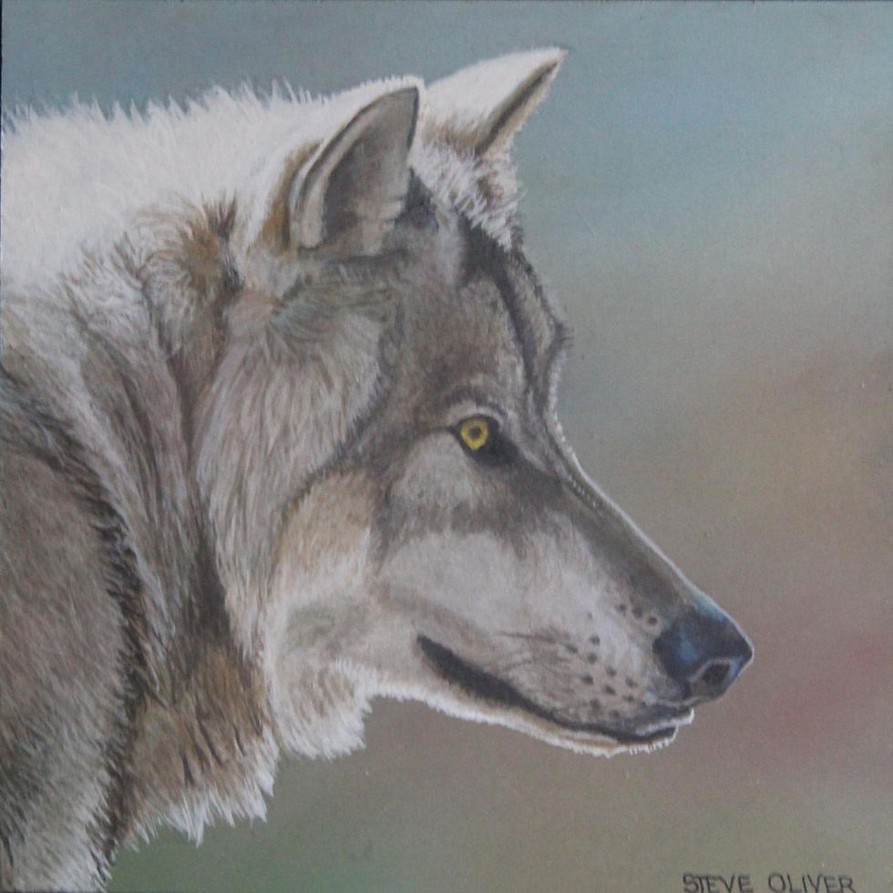 Wolf XX