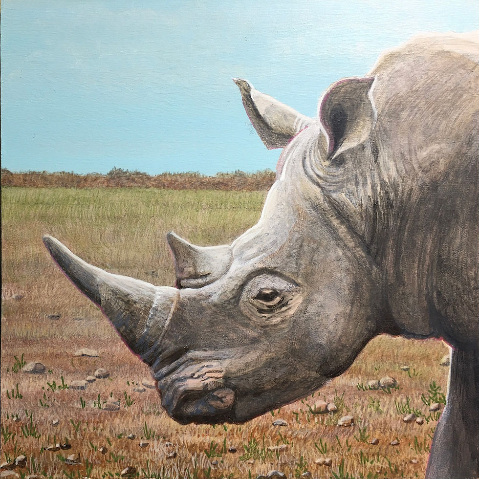 2020 Mini - Rhino