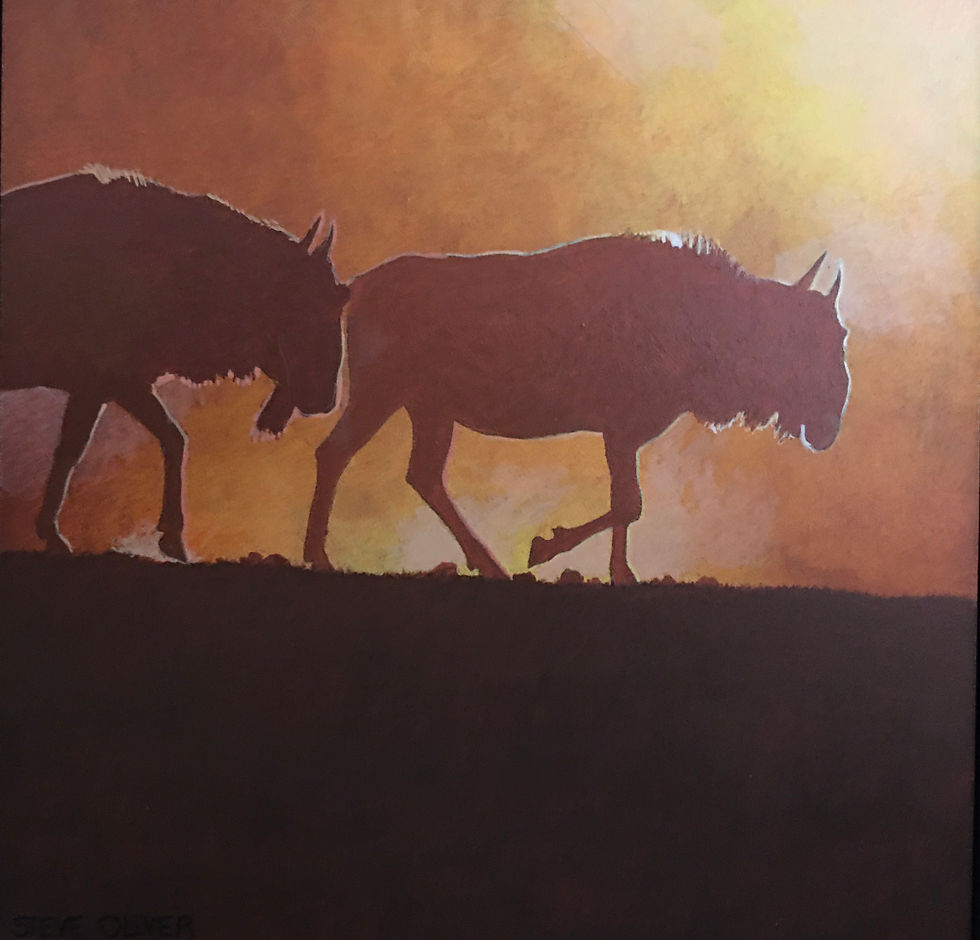 2020 Mini - Wildebeest