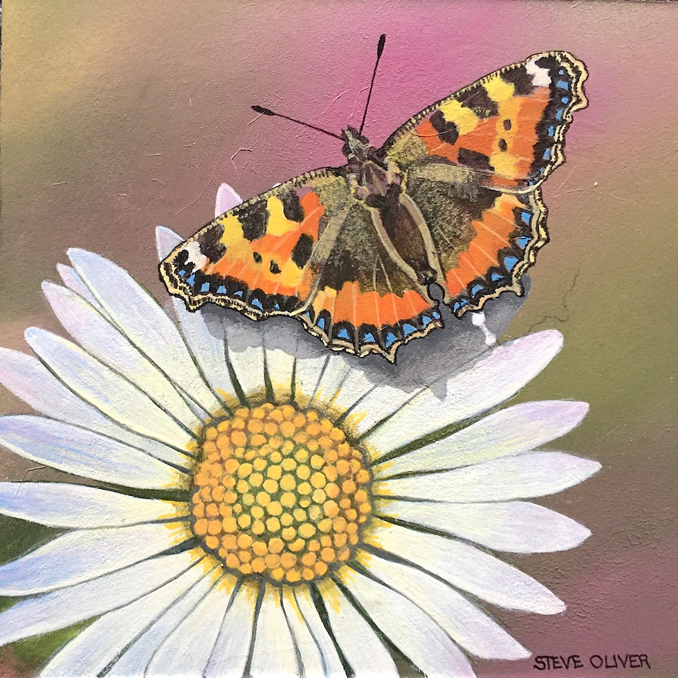 2020 Mini - Tortoise Shell Butterfly