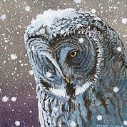 2020 Mini - Owl.jpg