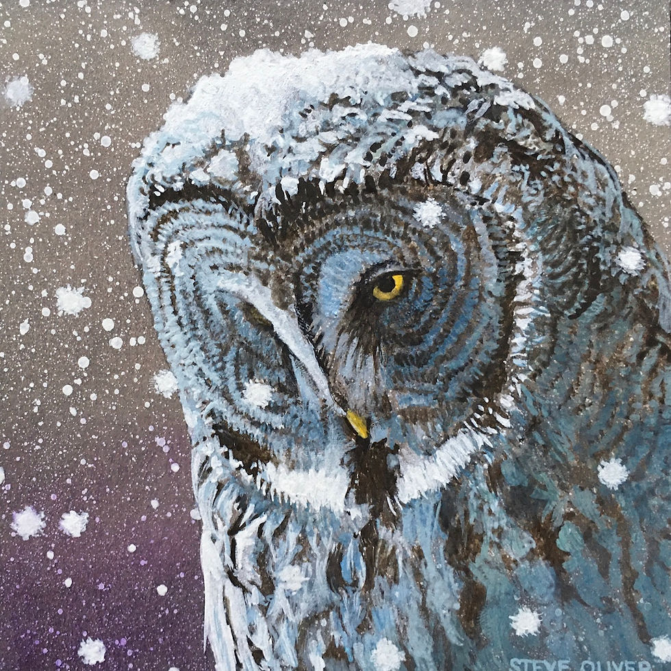 2020 Mini - Owl