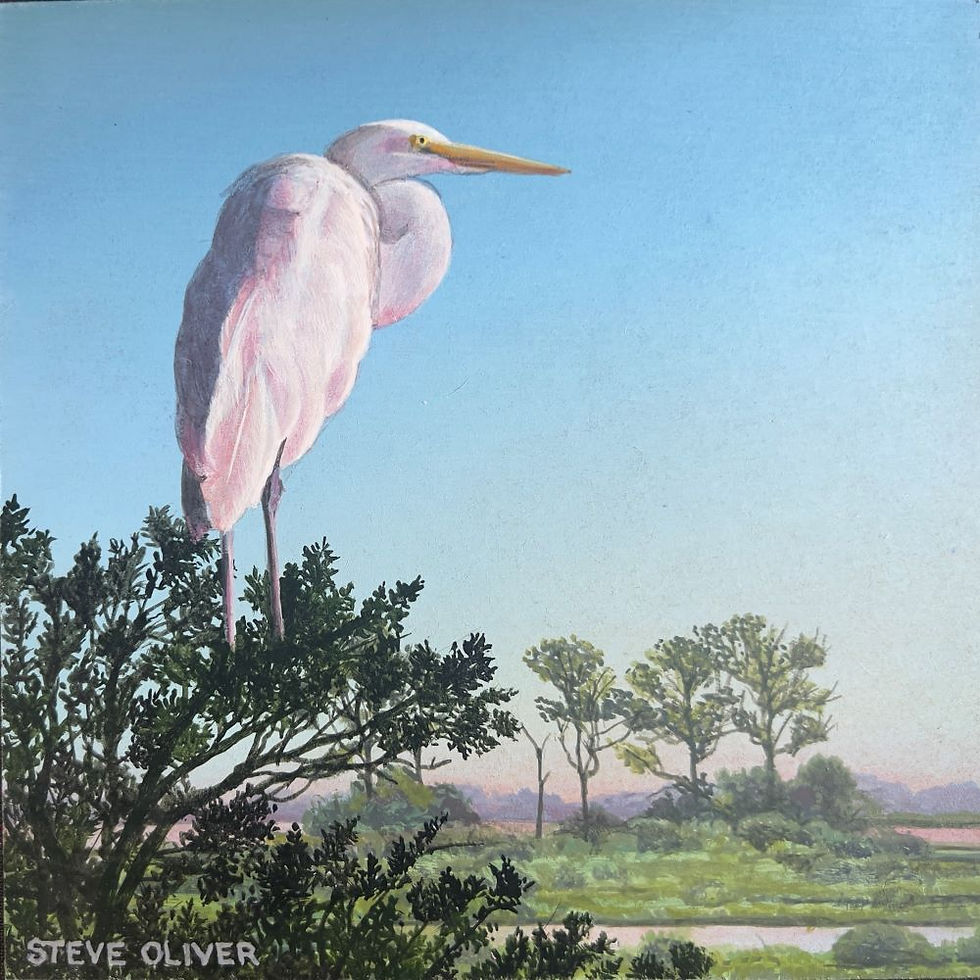 2023 - Early Morning Egret - 1000