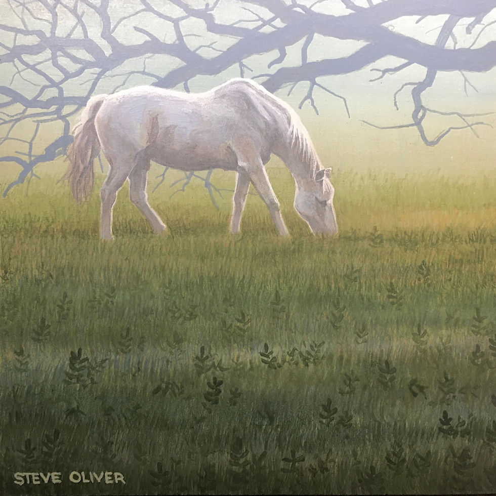 2020 Mini - Horse