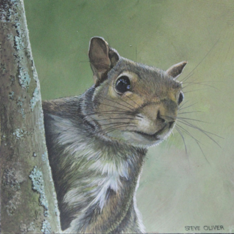 2025 - Curious Squirrel