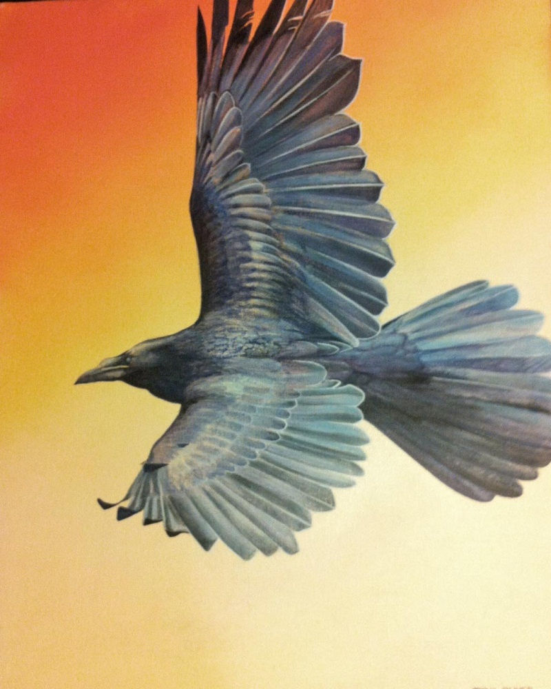 Image - Raven 1