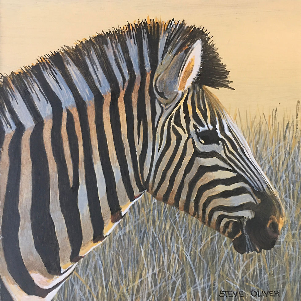 2019 Mini - Zebra