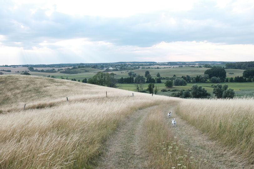 Hof Flieth Uckermark