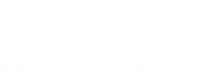 BAD Horz Logo White.png