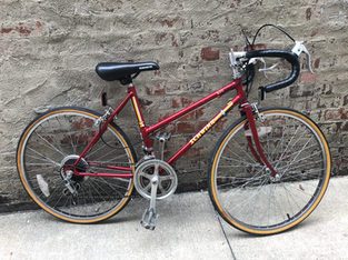 #3900 Schwinn Sprint $150