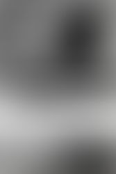 The overlay of Du Bois & Poitier