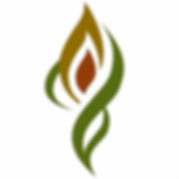 Off-Exchange plans are available from Network Health, Children's Community Health Plan, Arise, WPS, Medica & Common Ground Healthcare for Wisconsin, Iowa, & Kansas