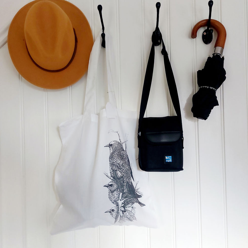 Thumbnail: Starlings Tea Towel and Bonus