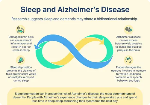 SF-23-232_SleepAlzheimers_Graphic_Opt1-1024x717.webp