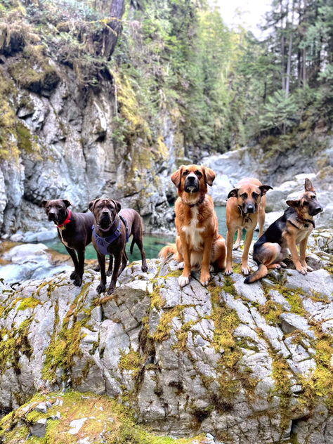 Group Hiking: Pack Dynamics & how to be prepared!