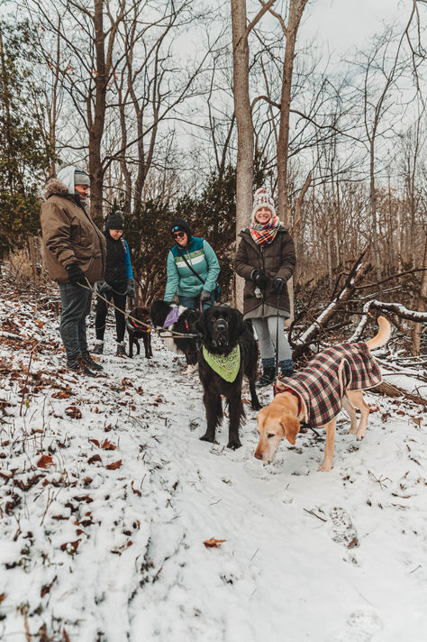 Feed your Dog’s Instincts, with Ryōken Instinct