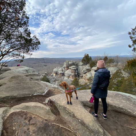 Hiking with a dog that has allergies