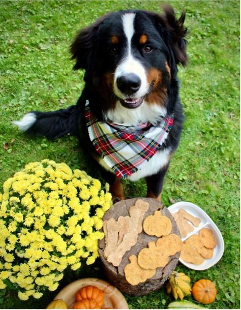 Homemade fall treats!