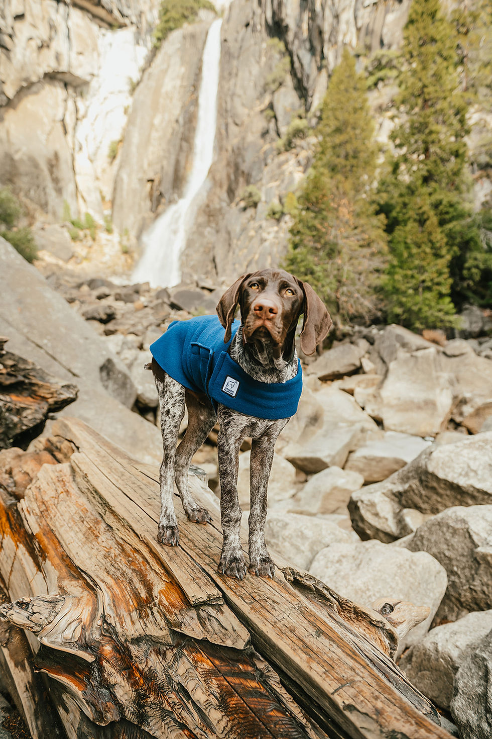 Photo by Hannah Overeem Photography - Flik is wearing a Tummy Warmer