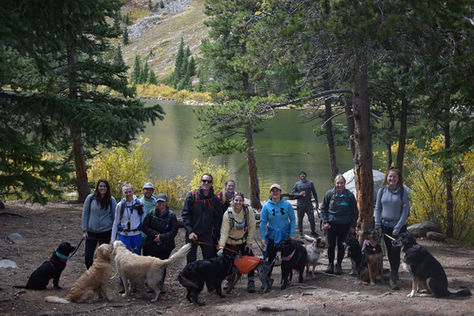 Embracing the Outdoors and Building a Canine Community: My Journey as a Hiking Leader at Hiking Dog
