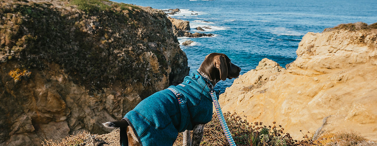 HTP-FlikBigSur-36_websize.jpg