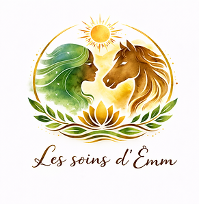 Logo Les soins d’Emm – médiation animale et accompagnement intuitif, illustré par une femme et un cheval en connexion.
