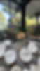 IMG_3259.jpeg