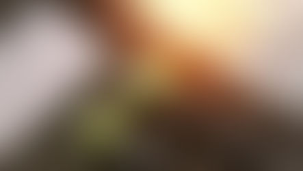 Are Long Term Disability Insurance Benefits and Legal Fees Taxable?