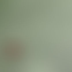 empty gas can on a road as a metaphor for burnout