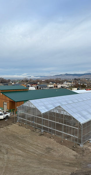 Our new native plant nursery in Corvallis, MT