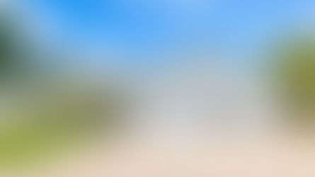 SOLD - BRAND NEW FRUITA LISTING!