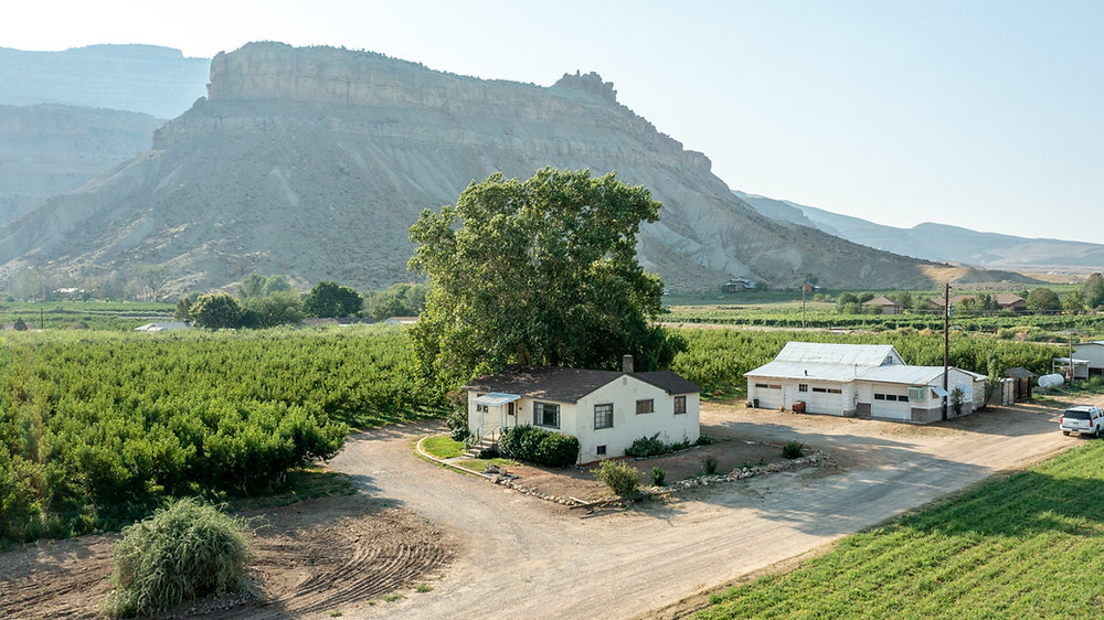 Palisade Peach Orchard FOR SALE PRICE REDUCED