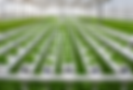 farmsay only farm.png